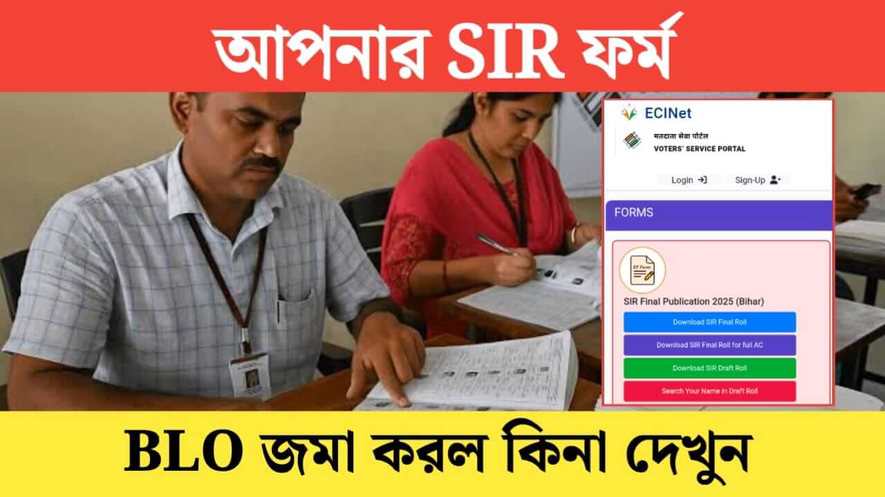 Check if BLO has submitted your SIR form check it online like this